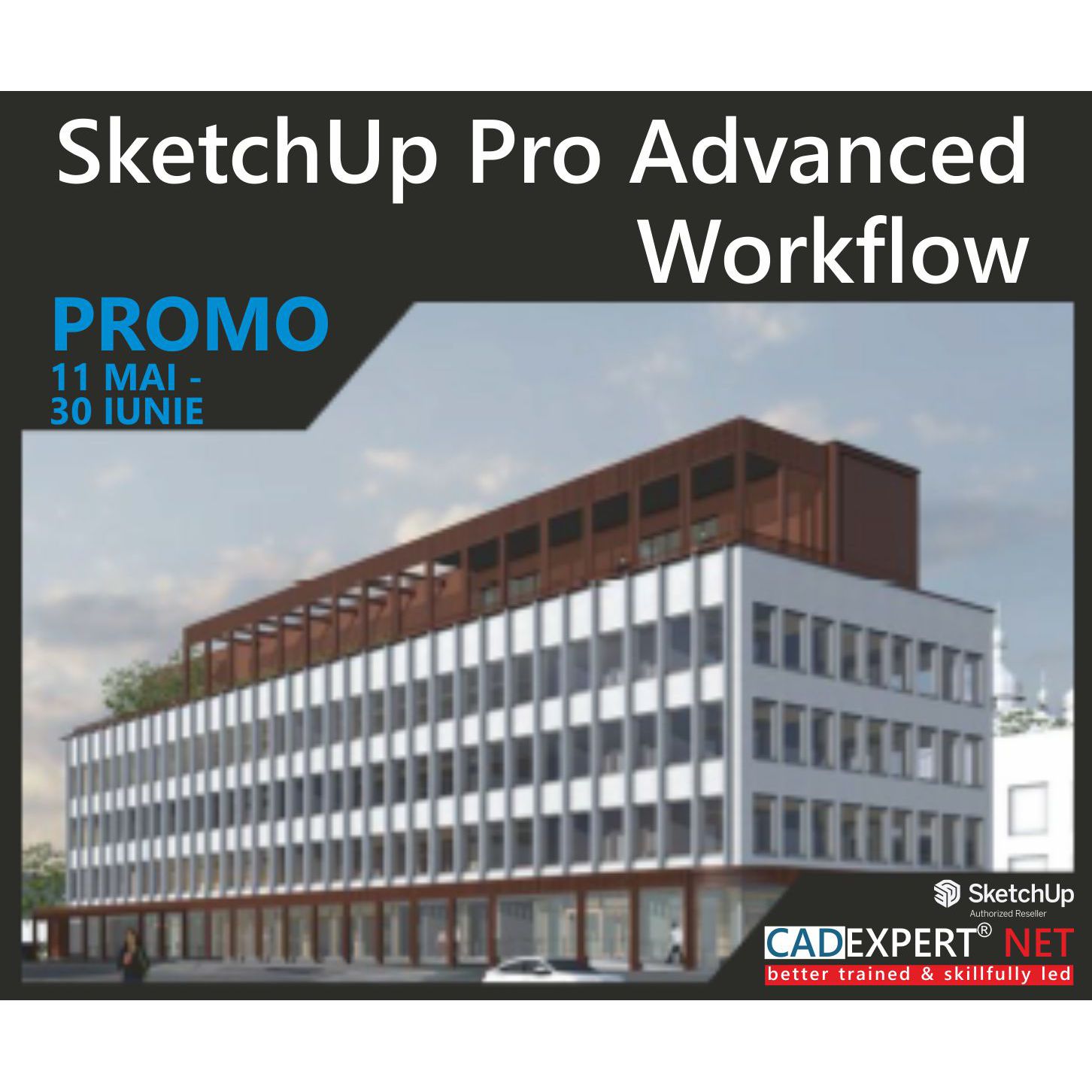 SketchUp Pro Advanced Workflows